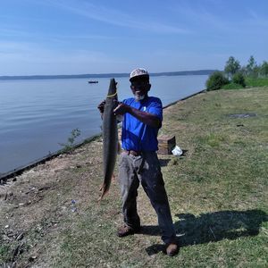 Meet your Posher, Terry